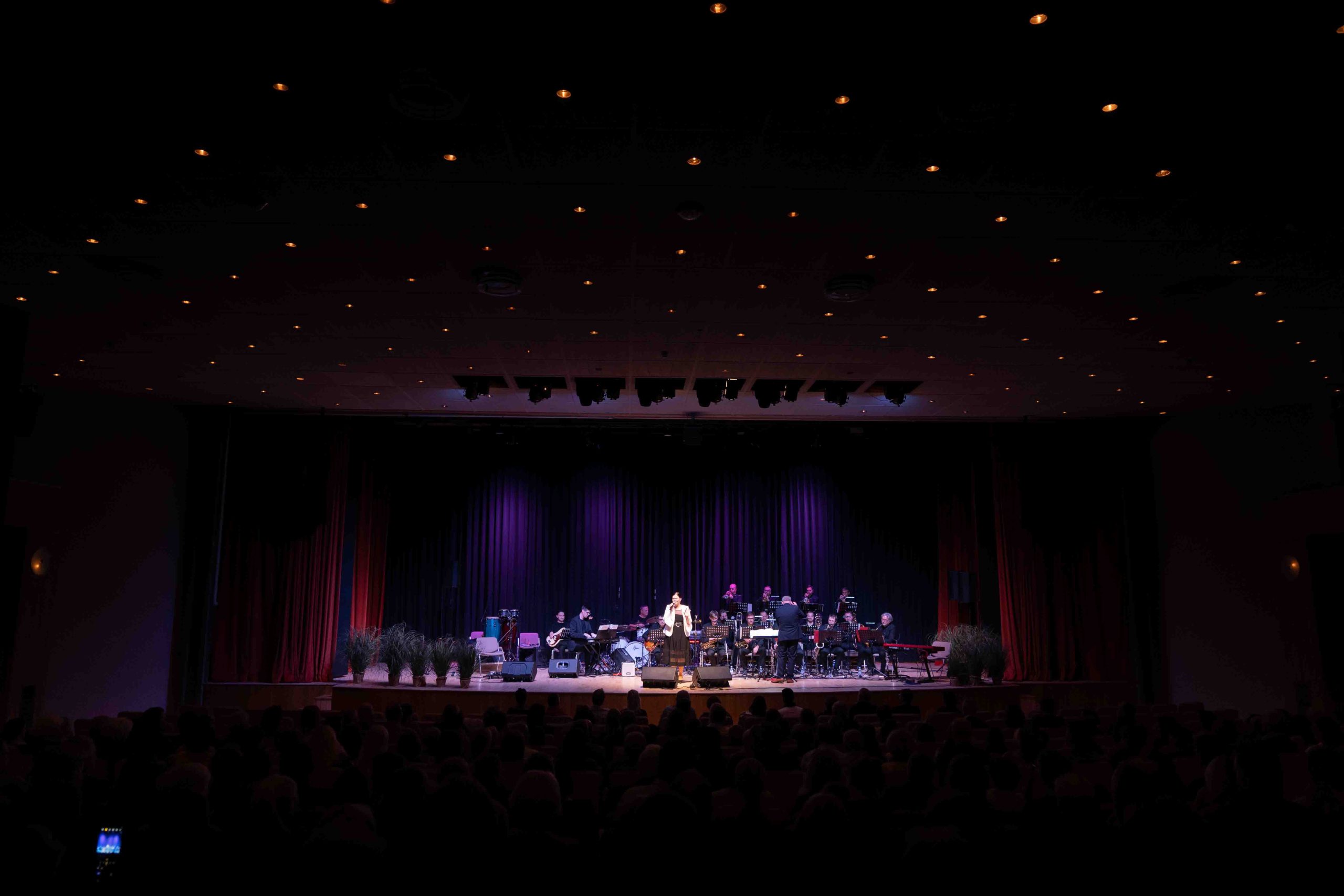 Big band Bled Nuška Drašček concert koncert Panda legendarna skupina Primož Grašič