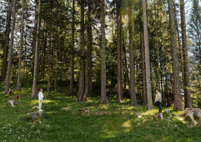 predporočno fotografiranje na Golici, narcise, javorniški rovt