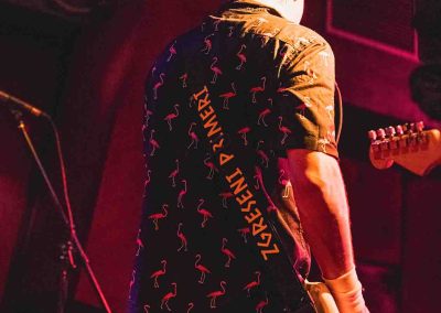 zgrešeni primeri koncert orto bar ljubljana slovenia punk rock concert koncertna fotografija